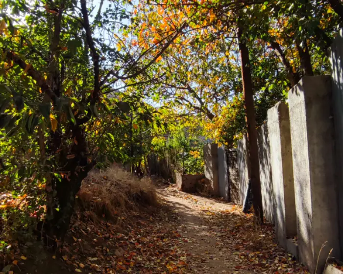 اقامتگاه نزدیک تهران بهترین گزینه ها برای آخر هفته های خوش و بی دغدغه